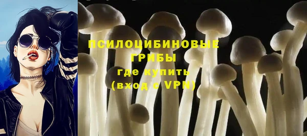 крисы Нефтекумск