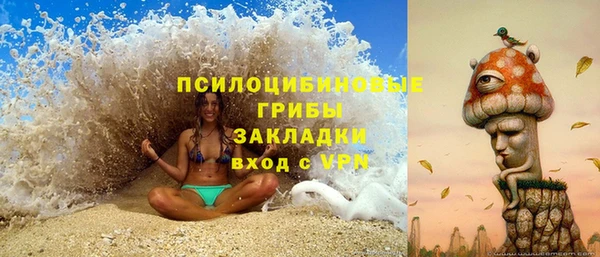 молекула духа Нефтегорск