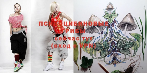 кокс Нея